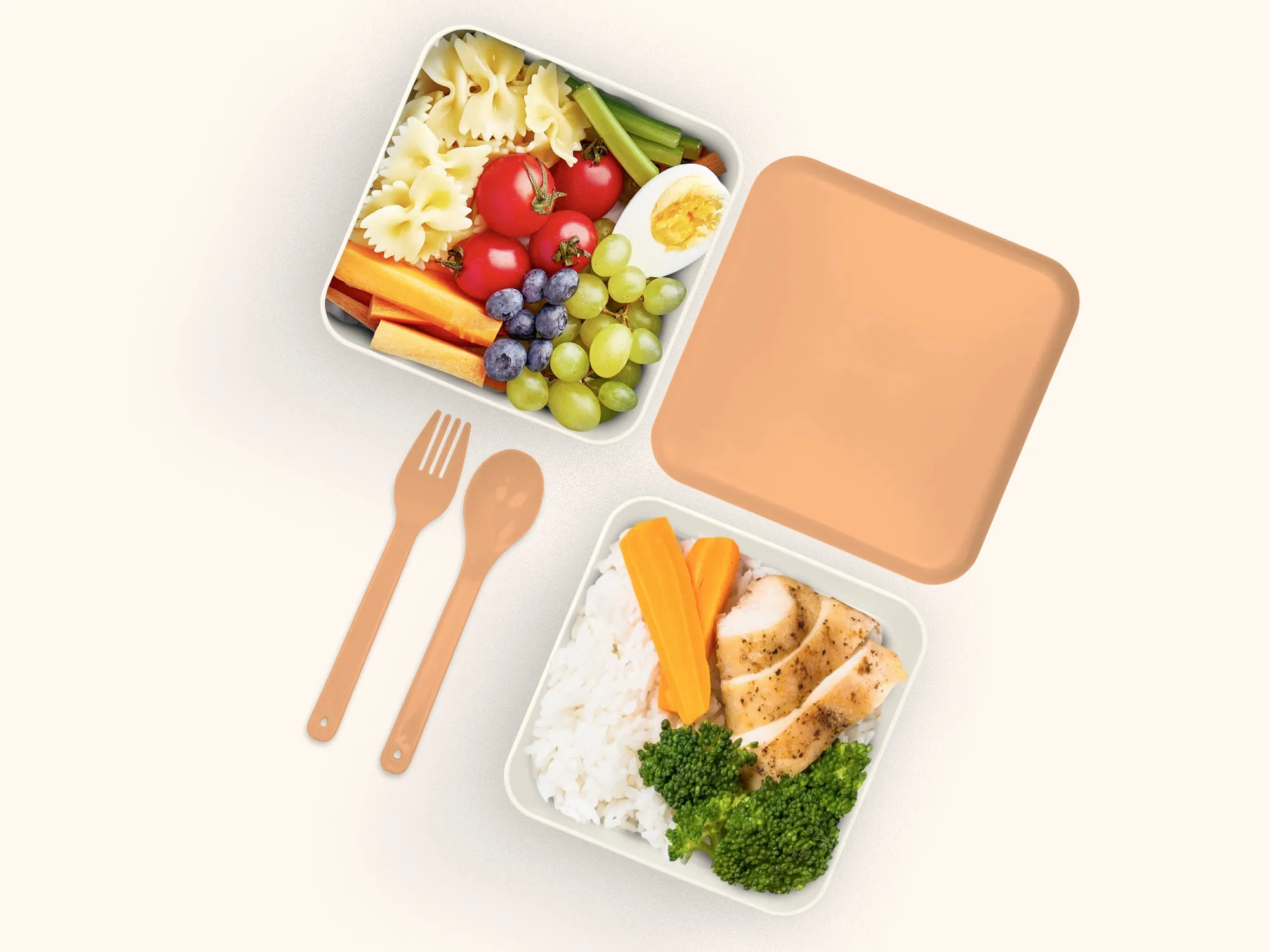 Fruit Salad Lunch Size Bento Box